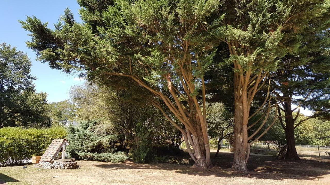 Au Clos Du Coteau, Chambres D'Hotes Crotelles ภายนอก รูปภาพ